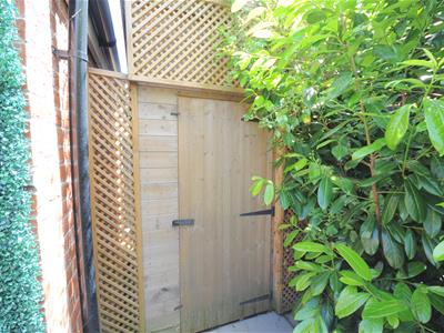 Picture 11